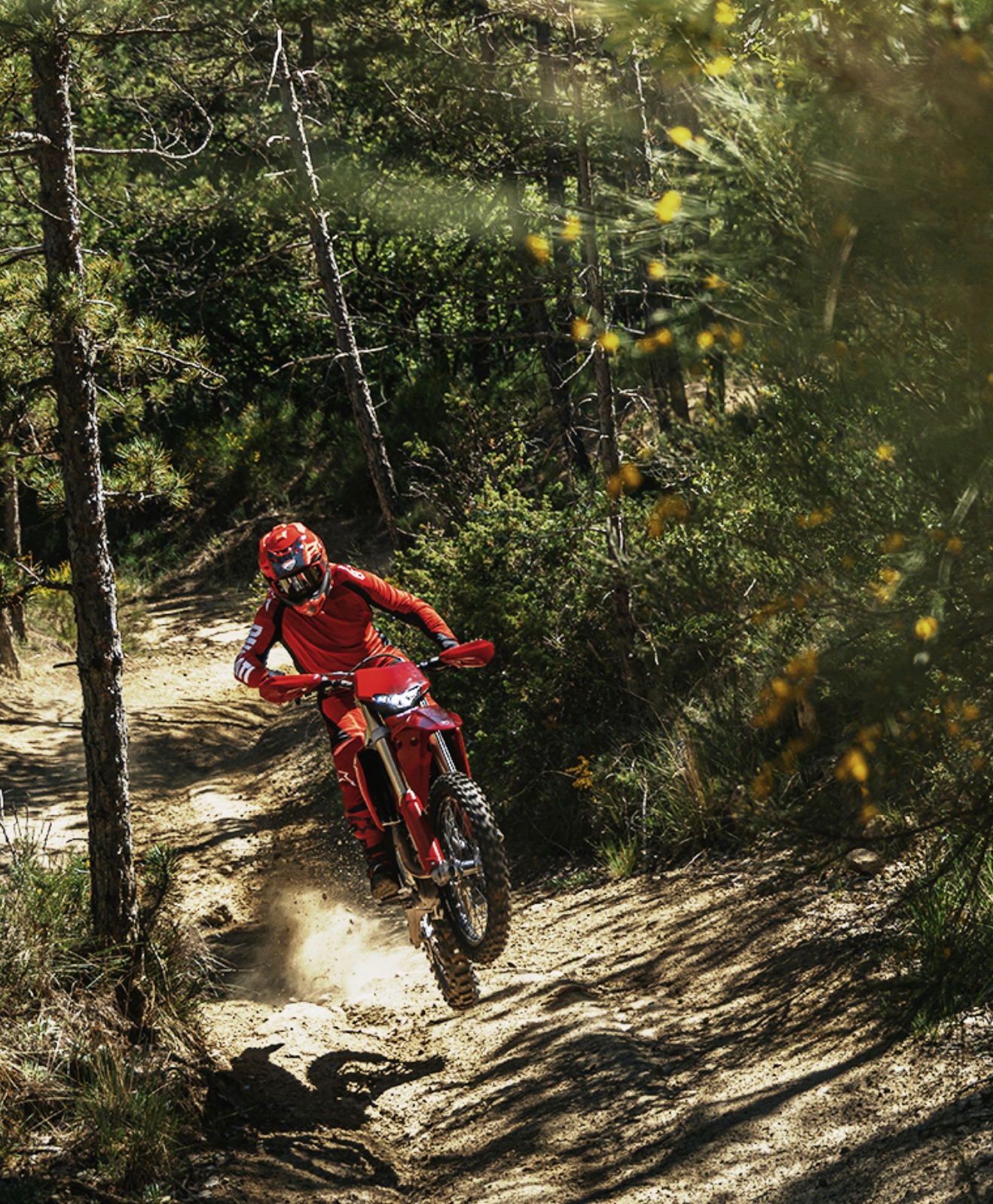 Desmo450 Try Out Days at Ducati DRE Sweet Lamb