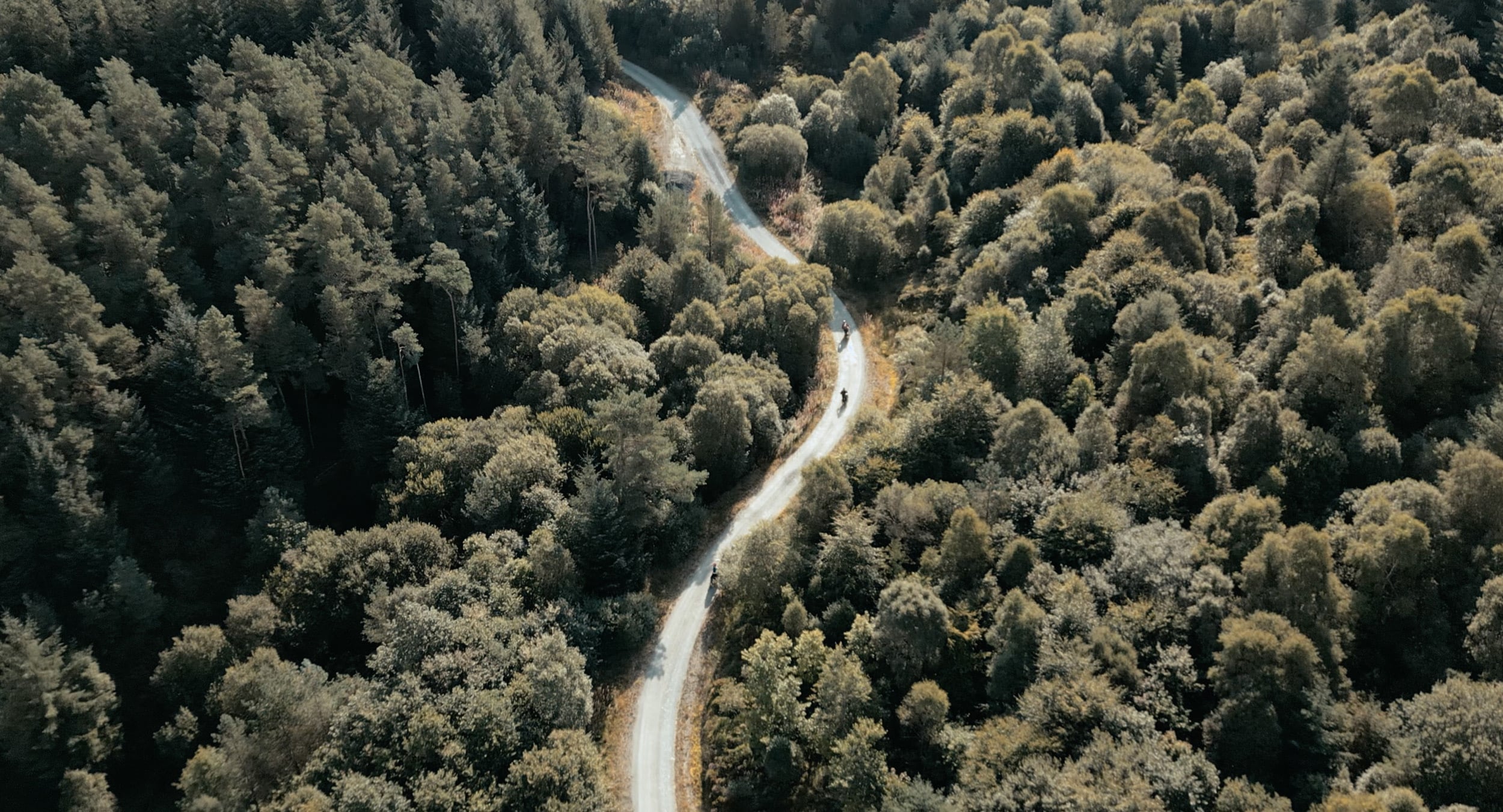 Choose your own adventure